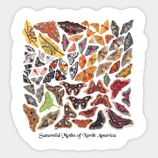 Saturniid Moths of North America Sticker